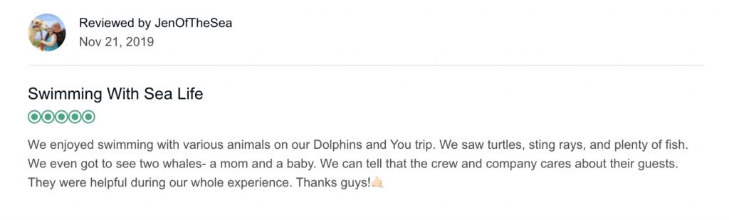 Review After Reputation Management